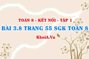 Bài 3.8 trang 55 SGK Toán 8 tập 1 Kết nối tri thức